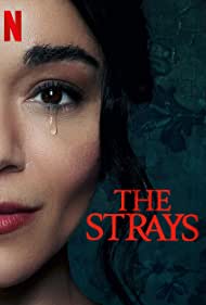 The Strays 2023 Hindi Dubbed 480p 720p 1080p FilmyZilla